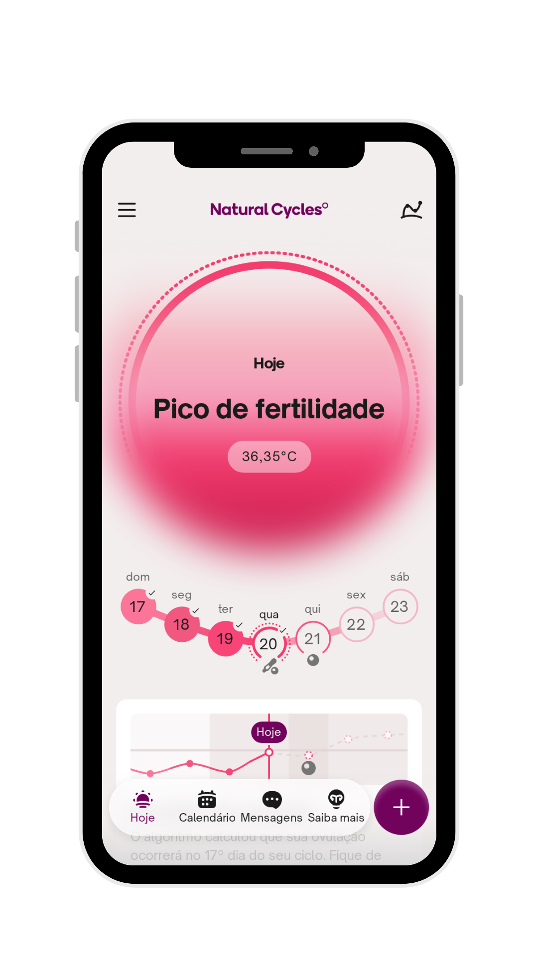 NC° Plan Pregnancy